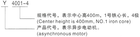 西安泰富西玛Y系列(H355-1000)高压JR138-10三相异步电机型号说明