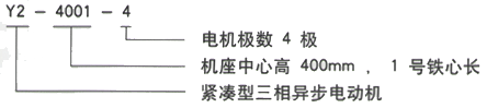 YR系列(H355-1000)高压JR138-10三相异步电机西安西玛电机型号说明